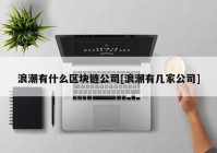 浪潮有什么区块链公司[浪潮有几家公司]